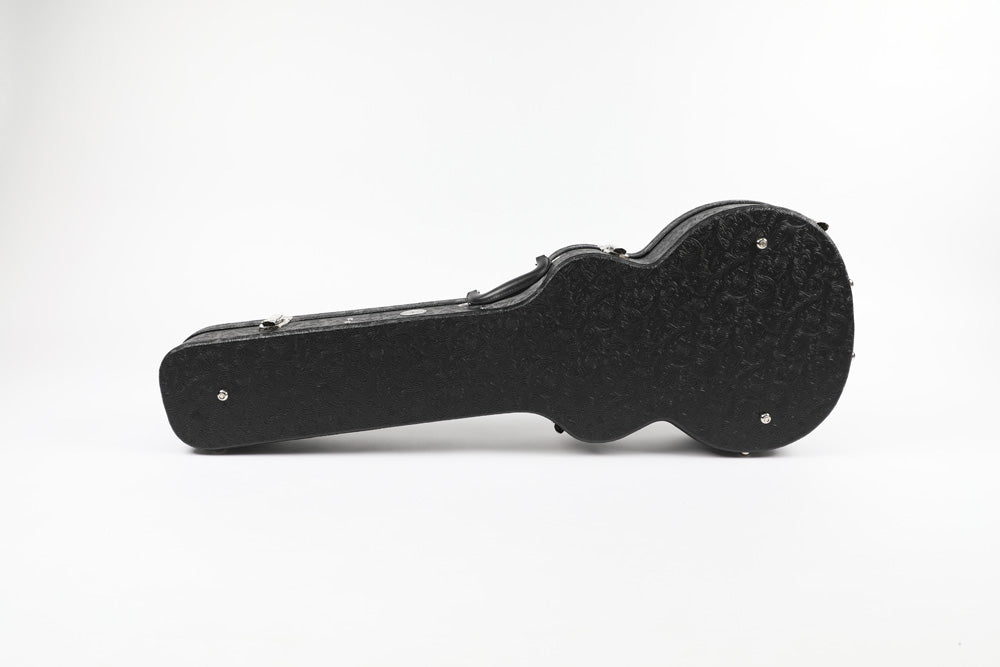 Allen Eden Paisley Tolex Guitar Case for Arch Top Les Paul Styles